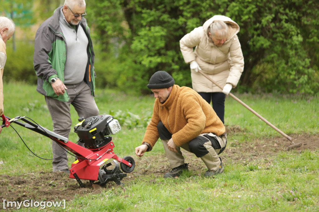 Takiego ogródka jeszcze nie było