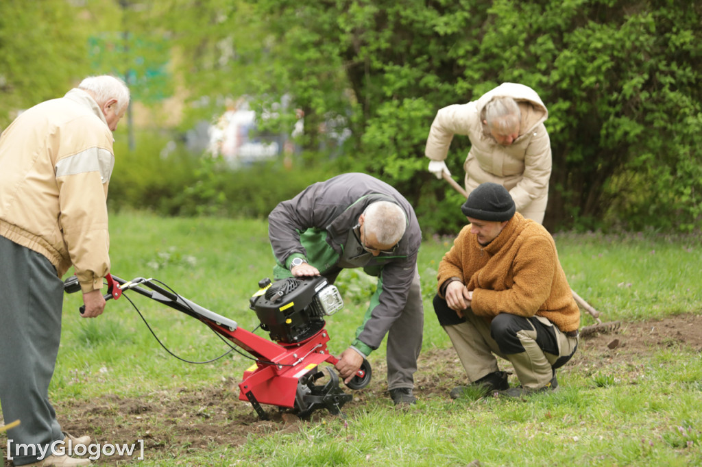 Takiego ogródka jeszcze nie było