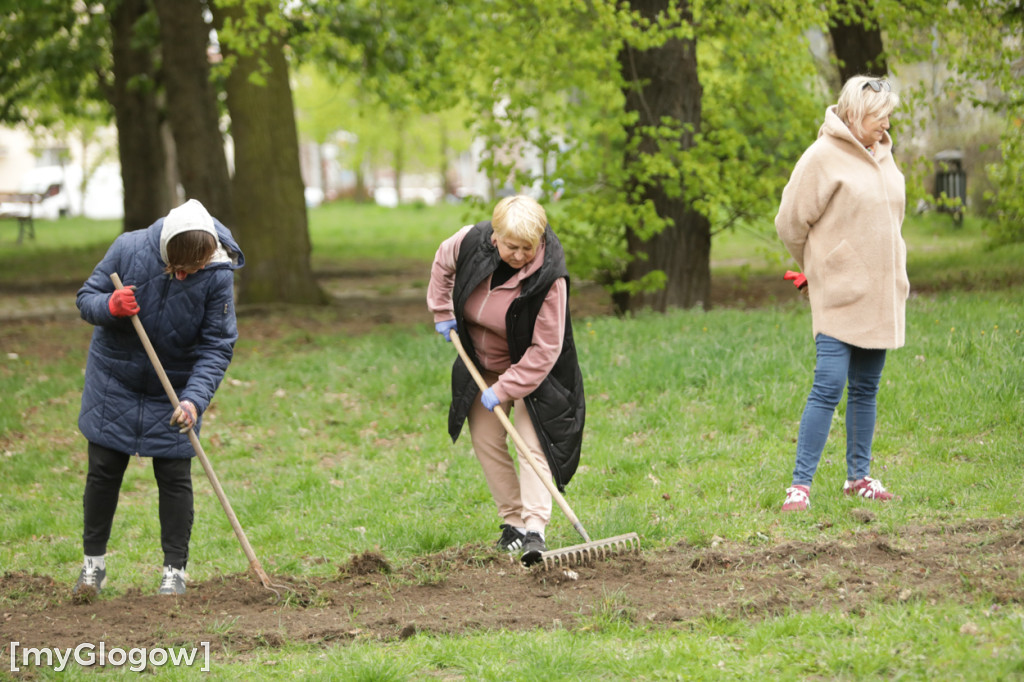 Takiego ogródka jeszcze nie było
