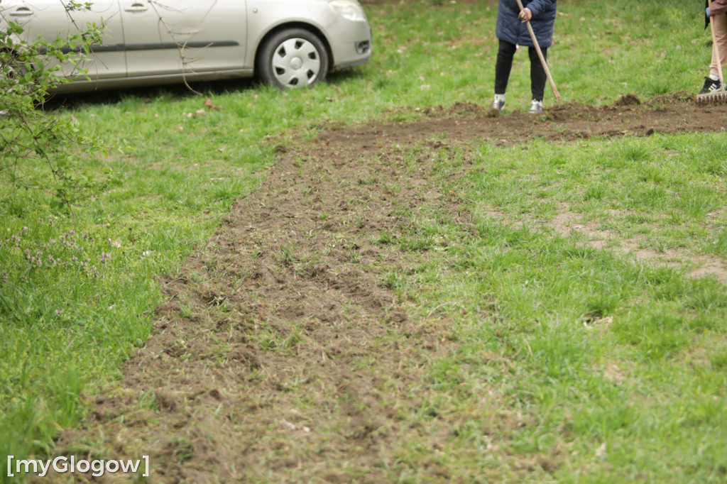 Takiego ogródka jeszcze nie było