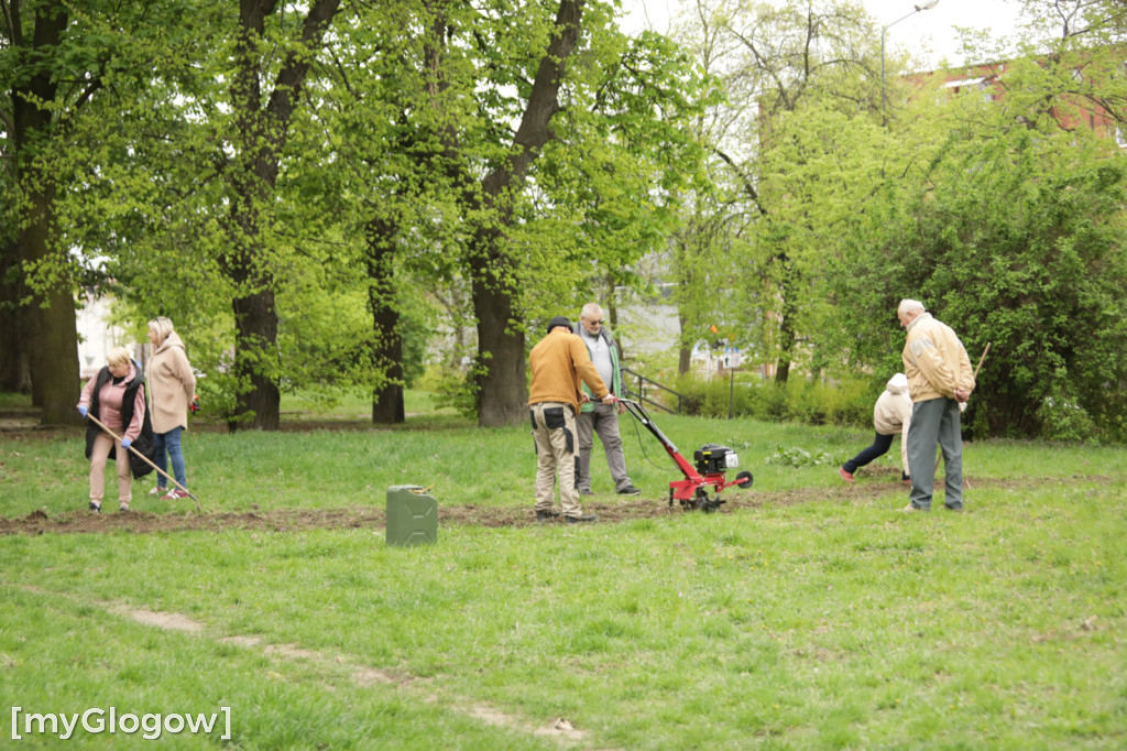 Takiego ogródka jeszcze nie było