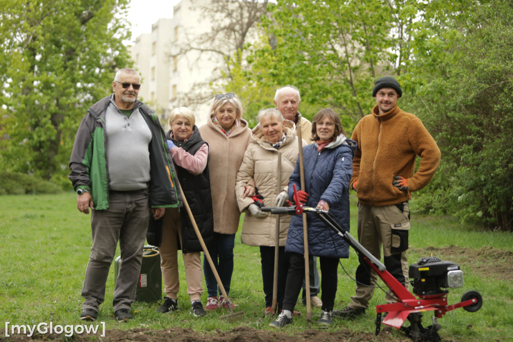 Takiego ogródka jeszcze nie było