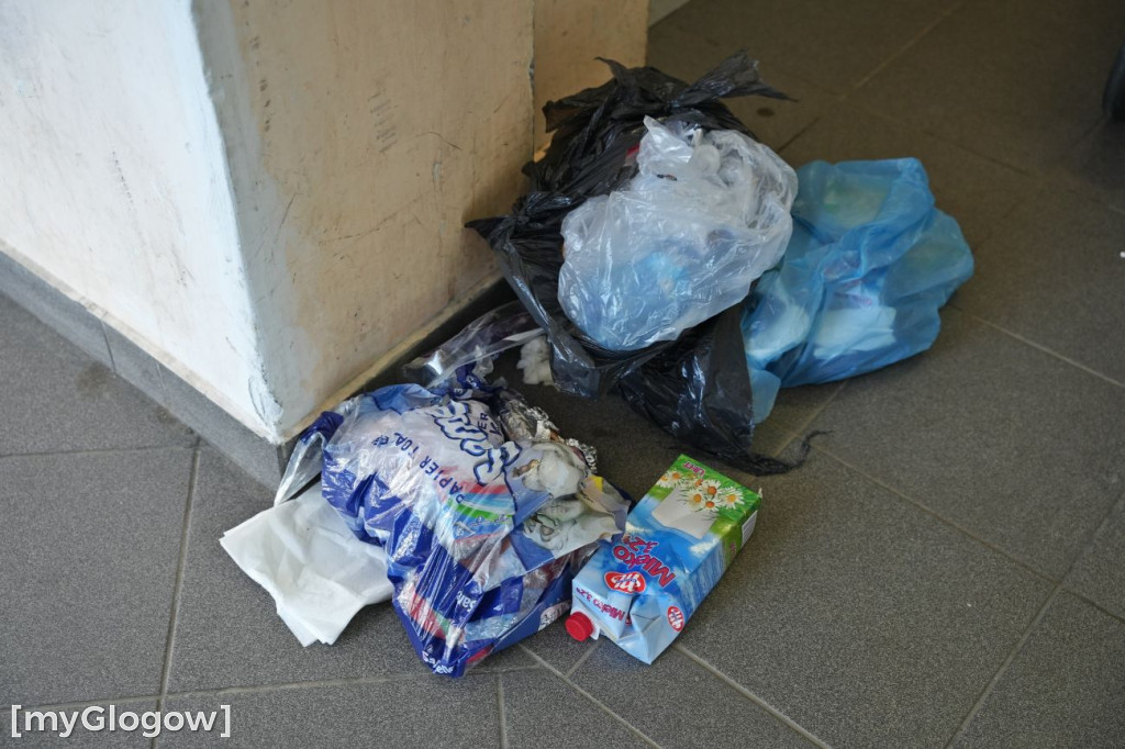 Brud, smród i pluskwy na Merkurego