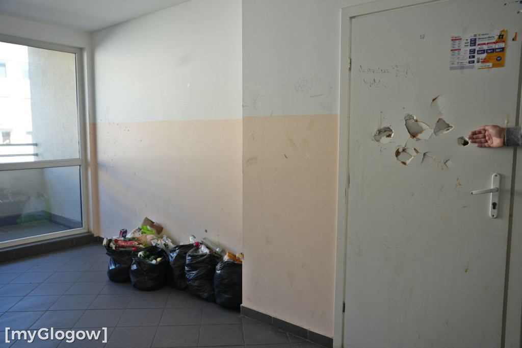 Brud, smród i pluskwy na Merkurego