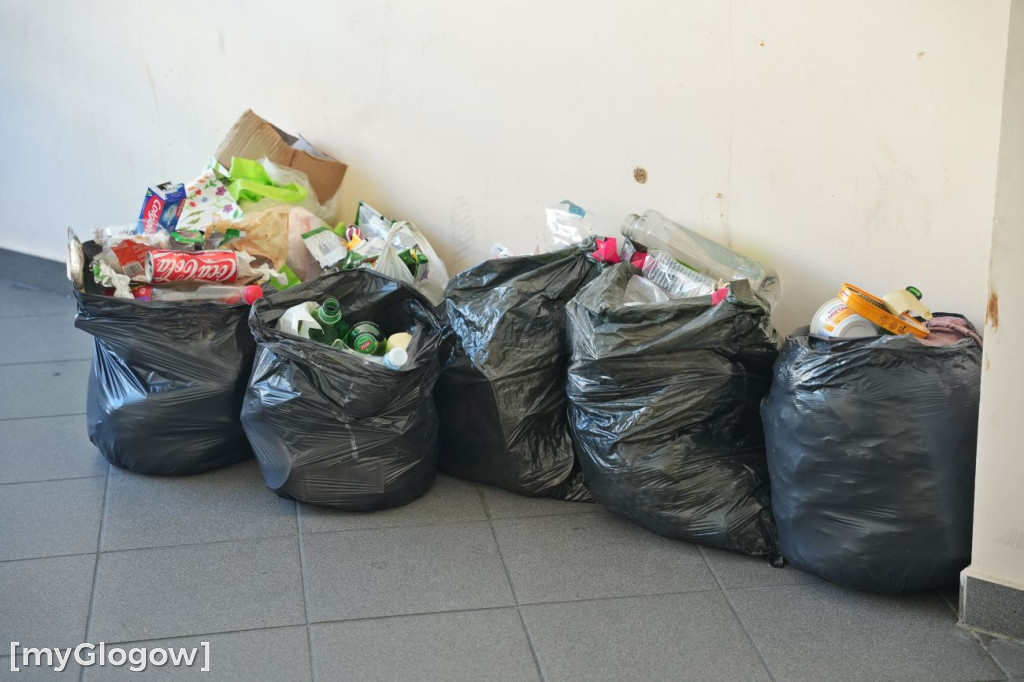 Brud, smród i pluskwy na Merkurego