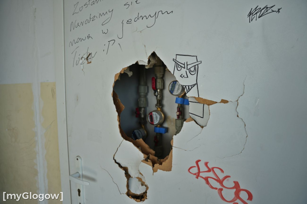 Brud, smród i pluskwy na Merkurego