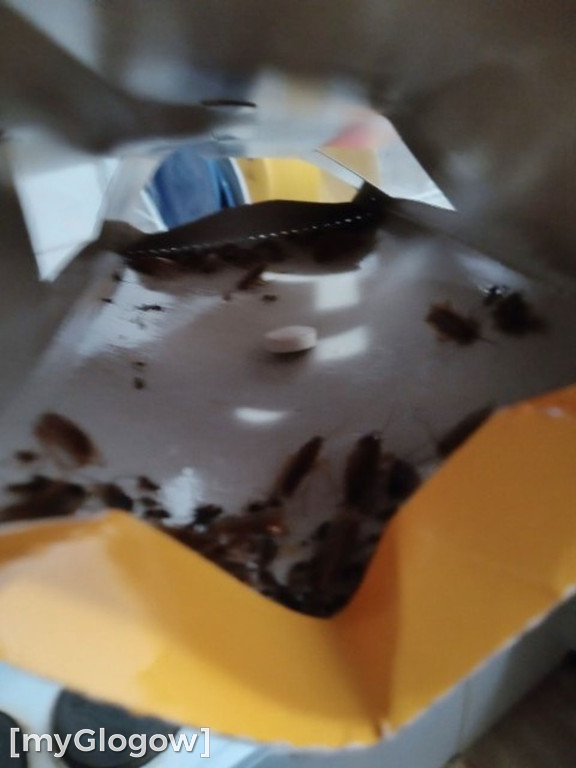 Brud, smród i pluskwy na Merkurego