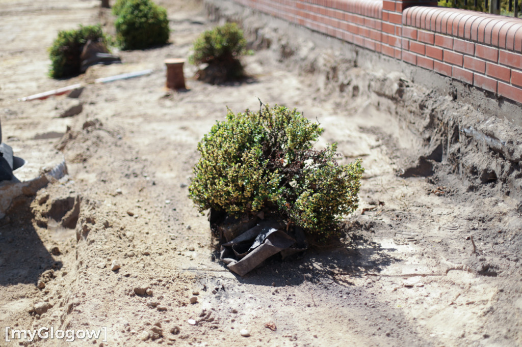 Nowe drogi już w budowie