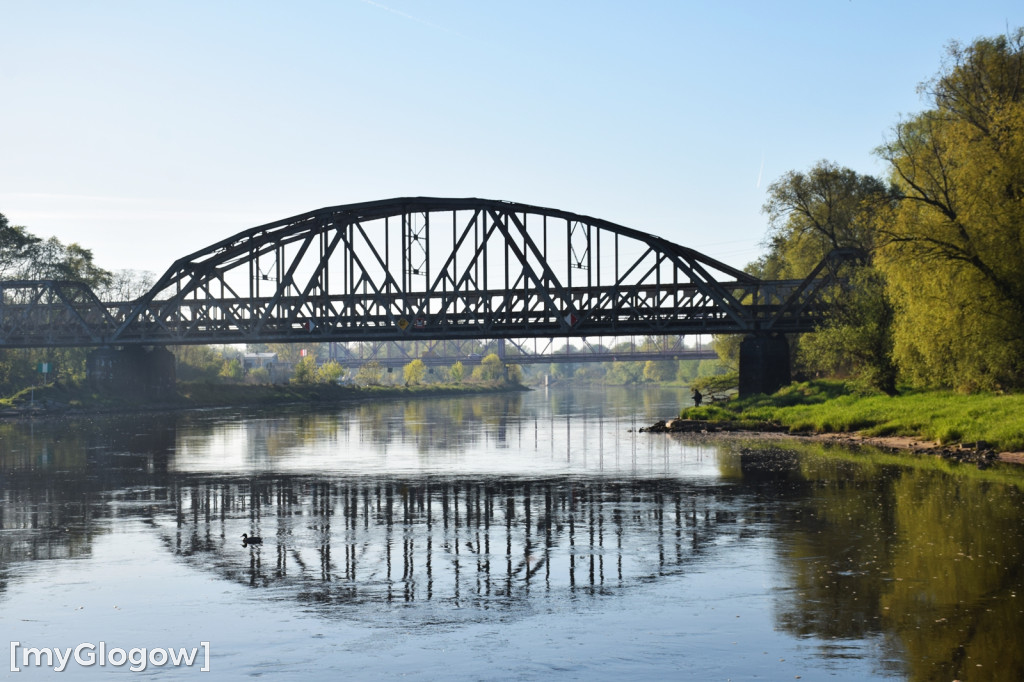 Spływ kajakowy Odrą z Głogowa do Nowej Soli
