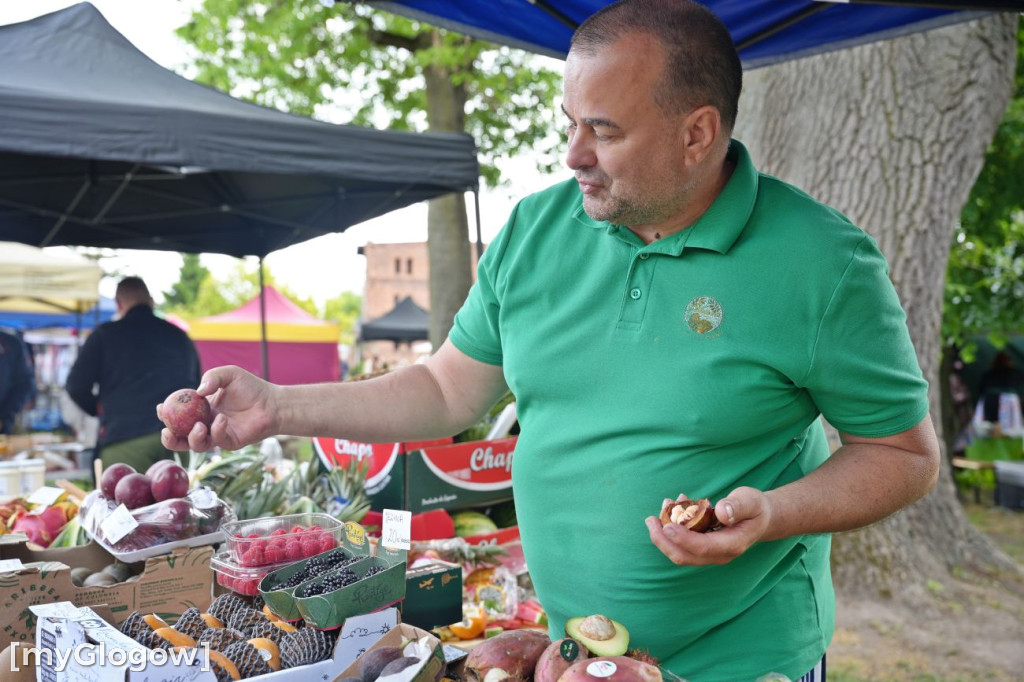 Posadzili buka w Dalkowie