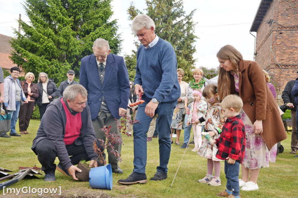 Posadzili buka w Dalkowie