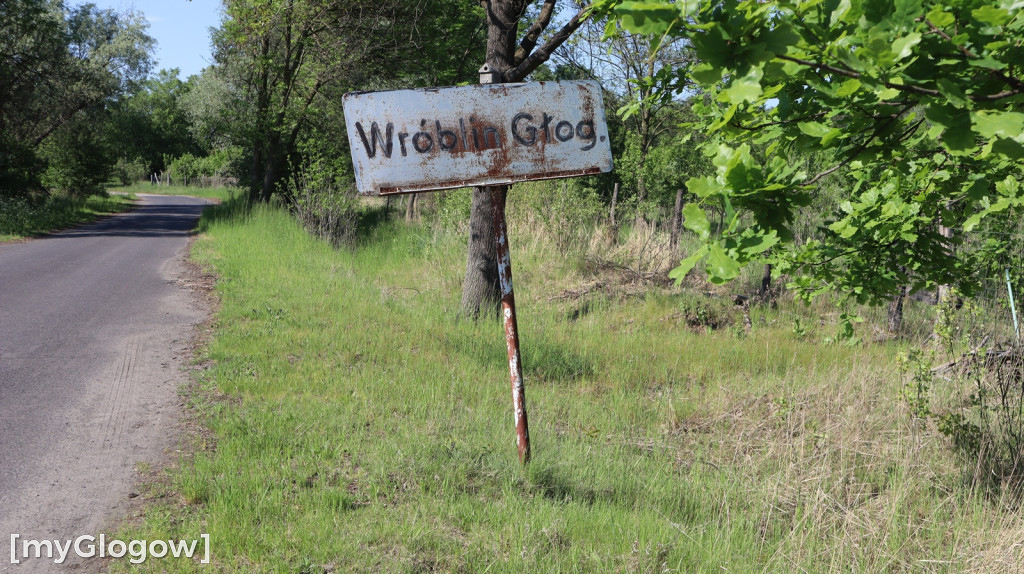 Msza święta we Wróblinie Głogowskim