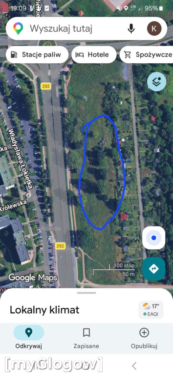 Ptaki i wycinka drzew