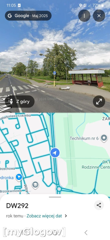 Ptaki i wycinka drzew