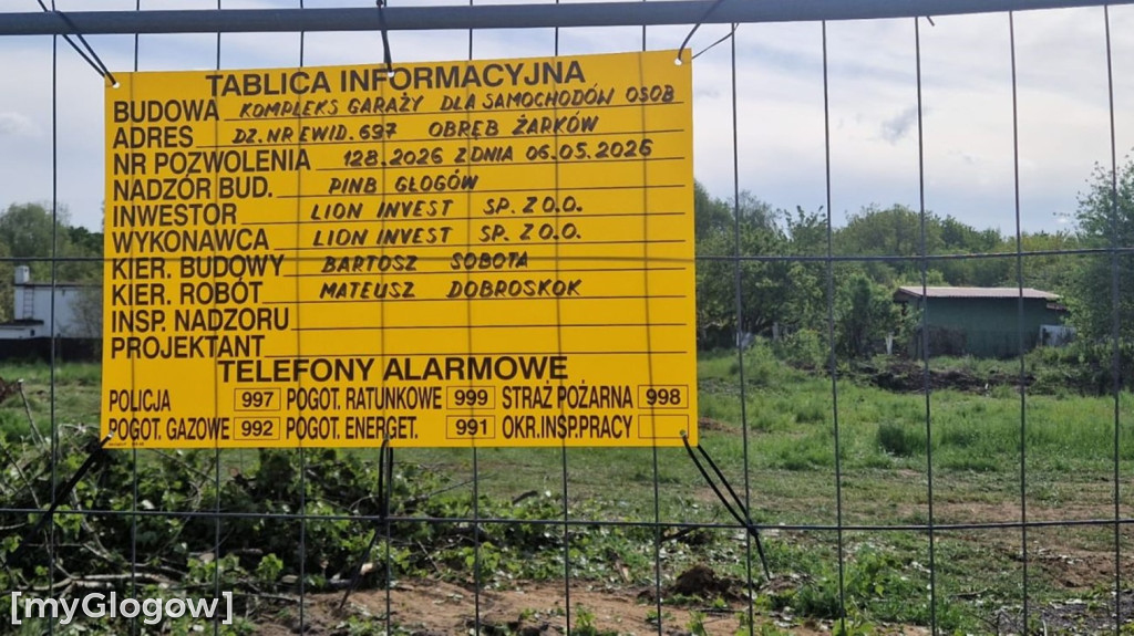 Ptaki i wycinka drzew