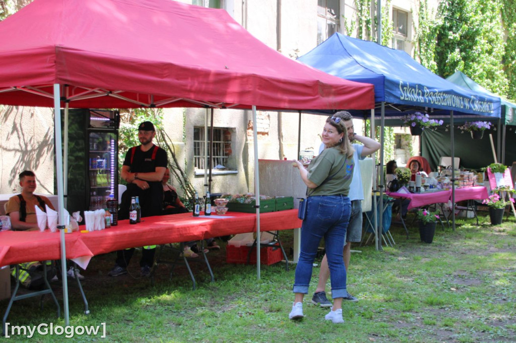 Festiwal Kopora w Sławie