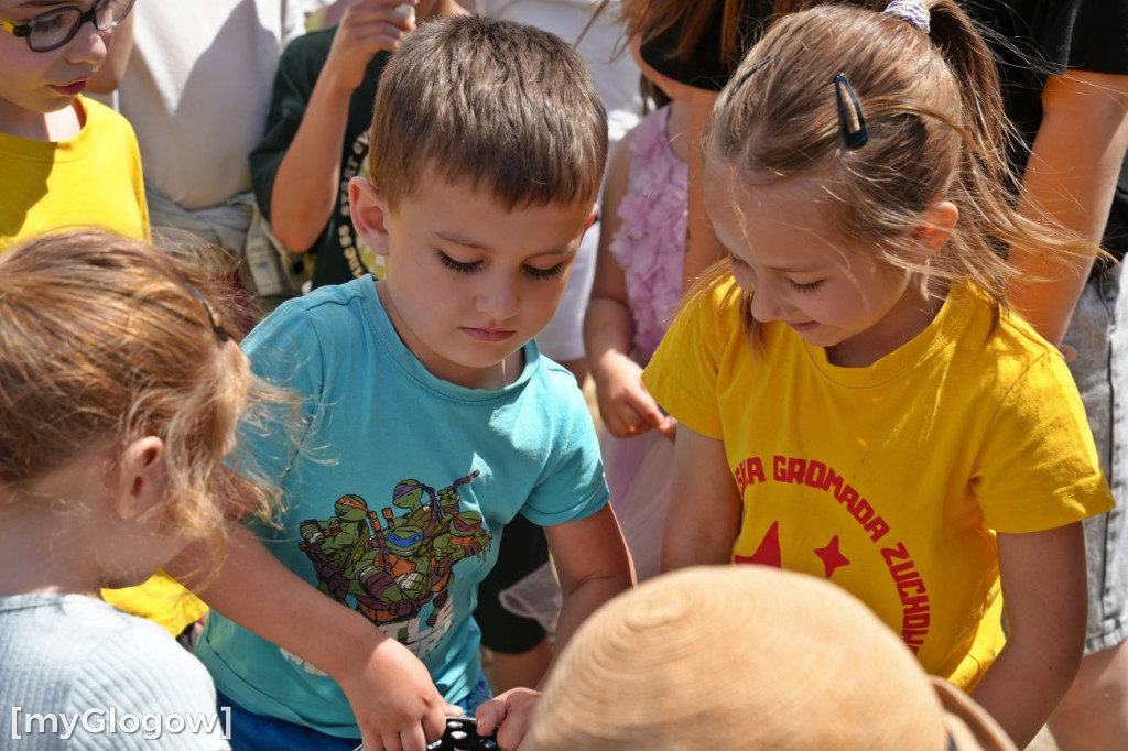 Piknik rodzinny w Kotli