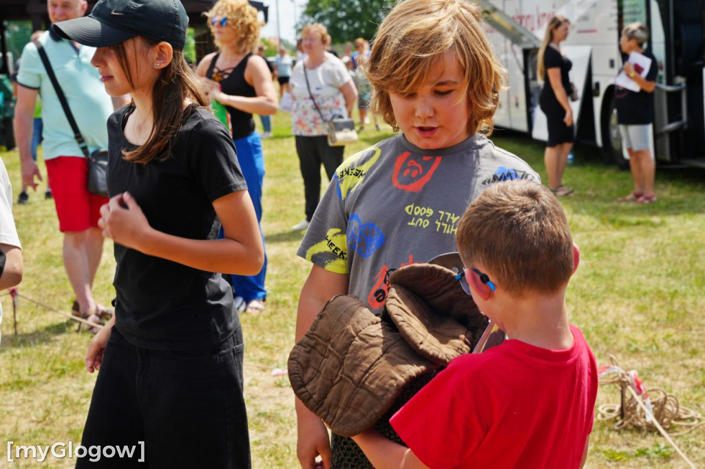 Piknik rodzinny w Kotli