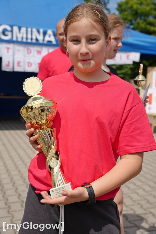 Piknik rodzinny w Kotli