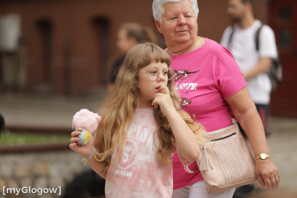Festyn PCPR w Głogowie
