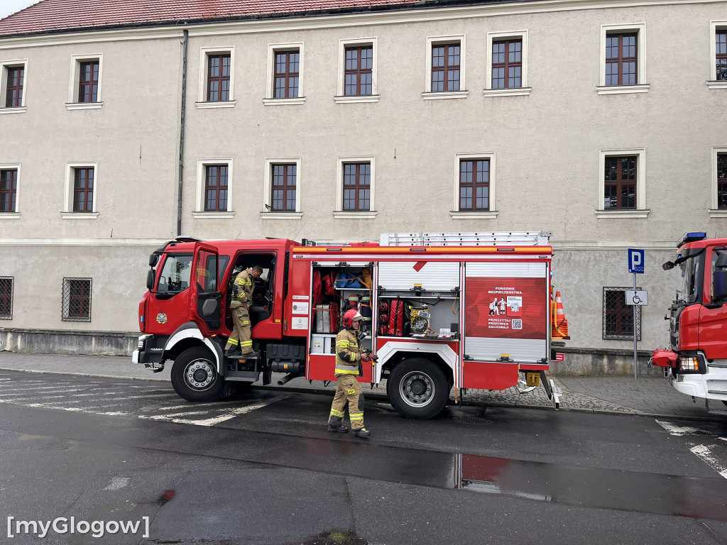 Akcja strażaków w Zamku