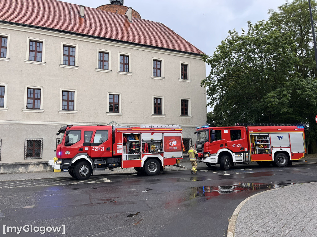 Akcja strażaków w Zamku