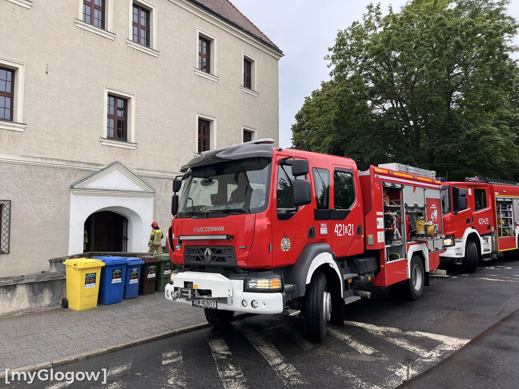Akcja strażaków w Zamku