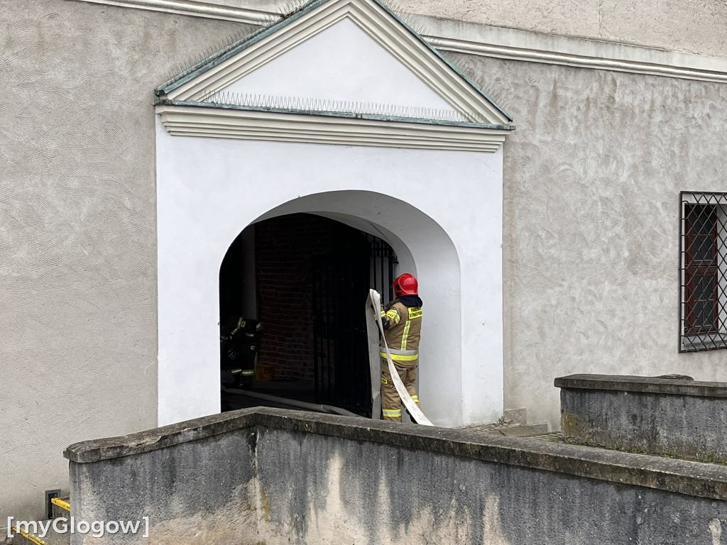 Akcja strażaków w Zamku