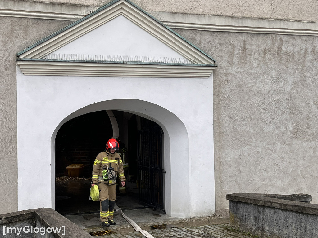Akcja strażaków w Zamku
