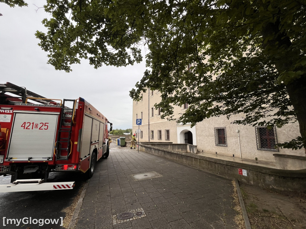 Akcja strażaków w Zamku