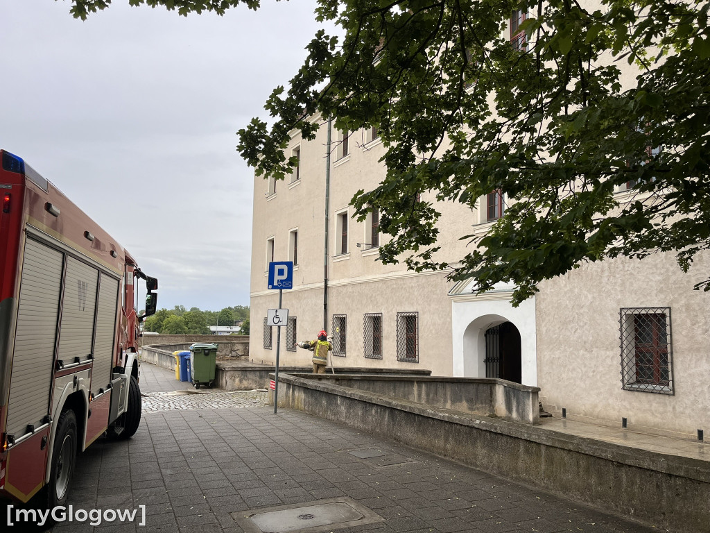 Akcja strażaków w Zamku