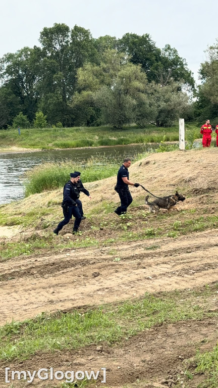 Duże manewry w Głogowie