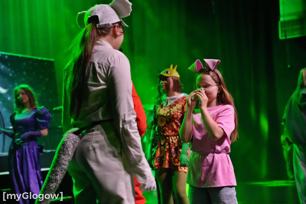 Akademii Musicalowej Stage UP