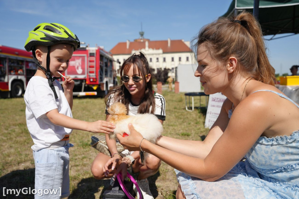 Piknik serc