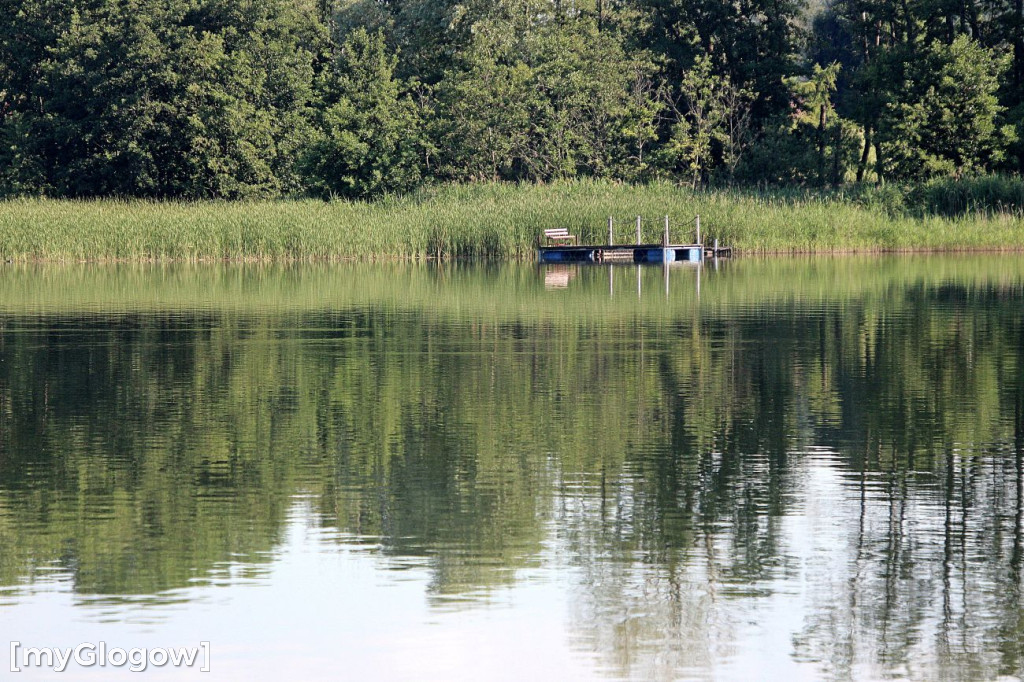 Przyroda oddalona od plaży