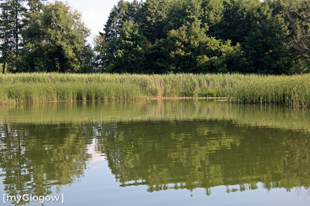 Przyroda oddalona od plaży