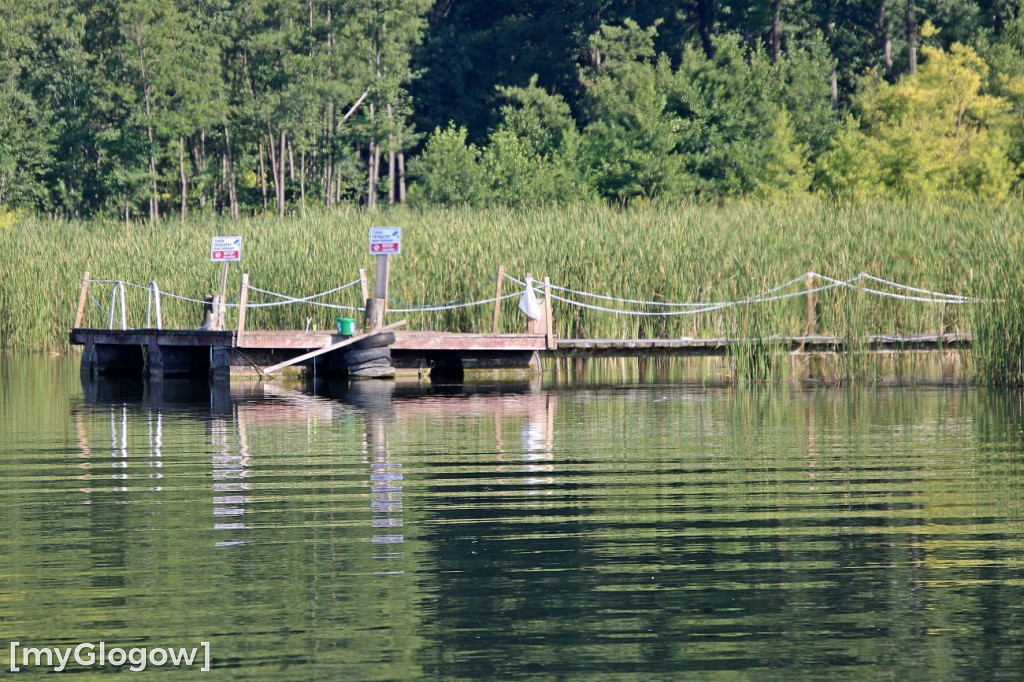 Przyroda oddalona od plaży