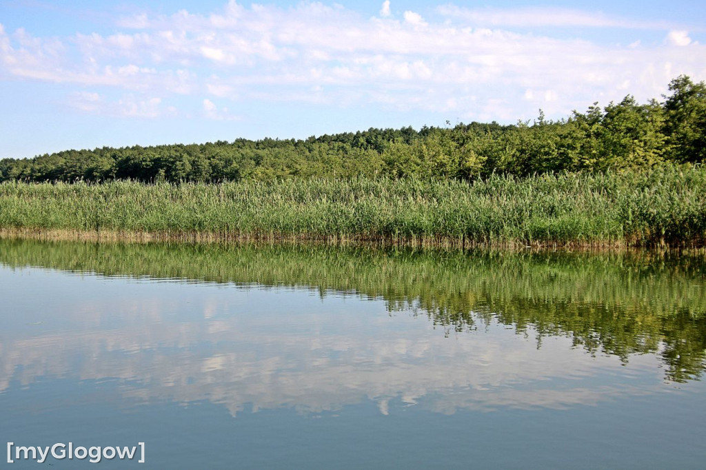 Przyroda oddalona od plaży