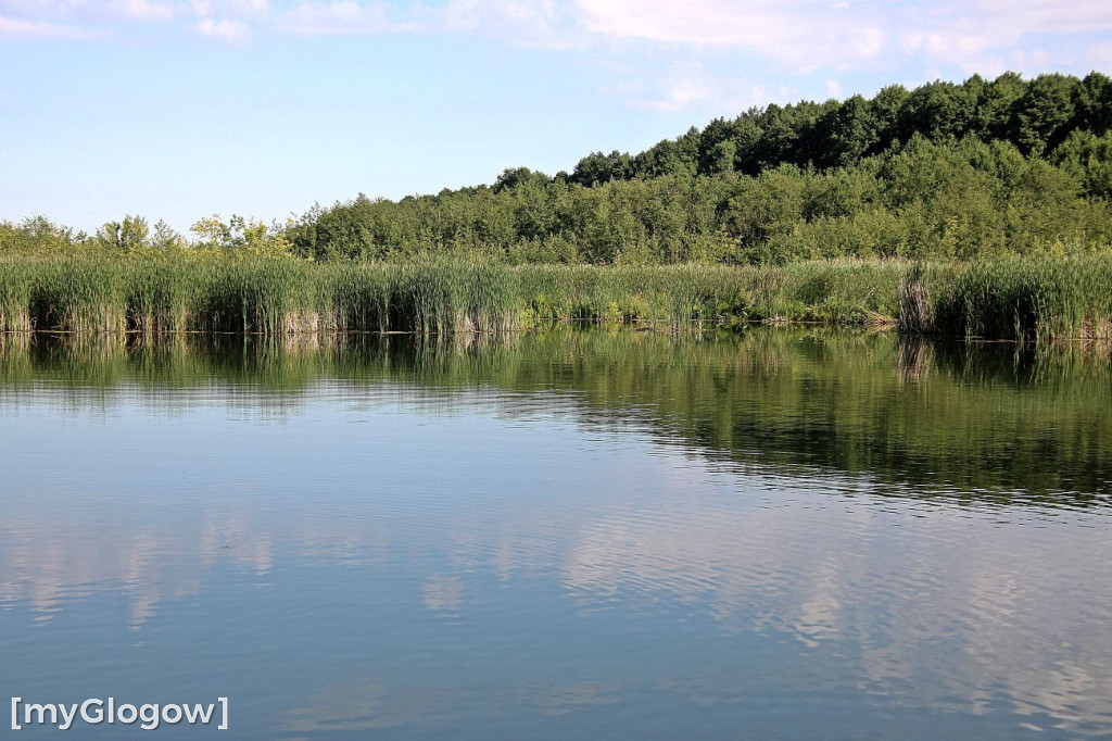 Przyroda oddalona od plaży