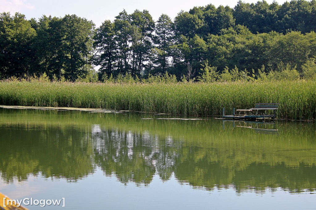 Przyroda oddalona od plaży