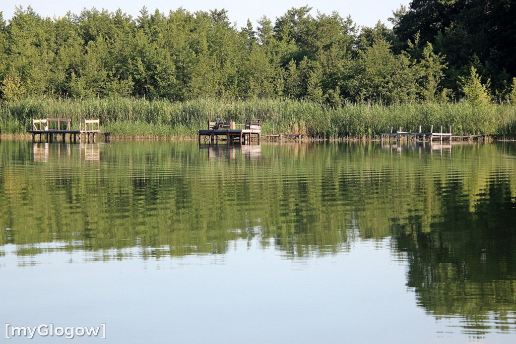 Przyroda oddalona od plaży