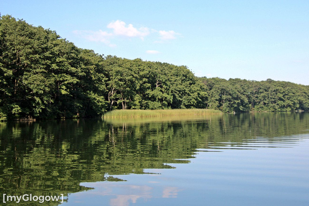 Przyroda oddalona od plaży