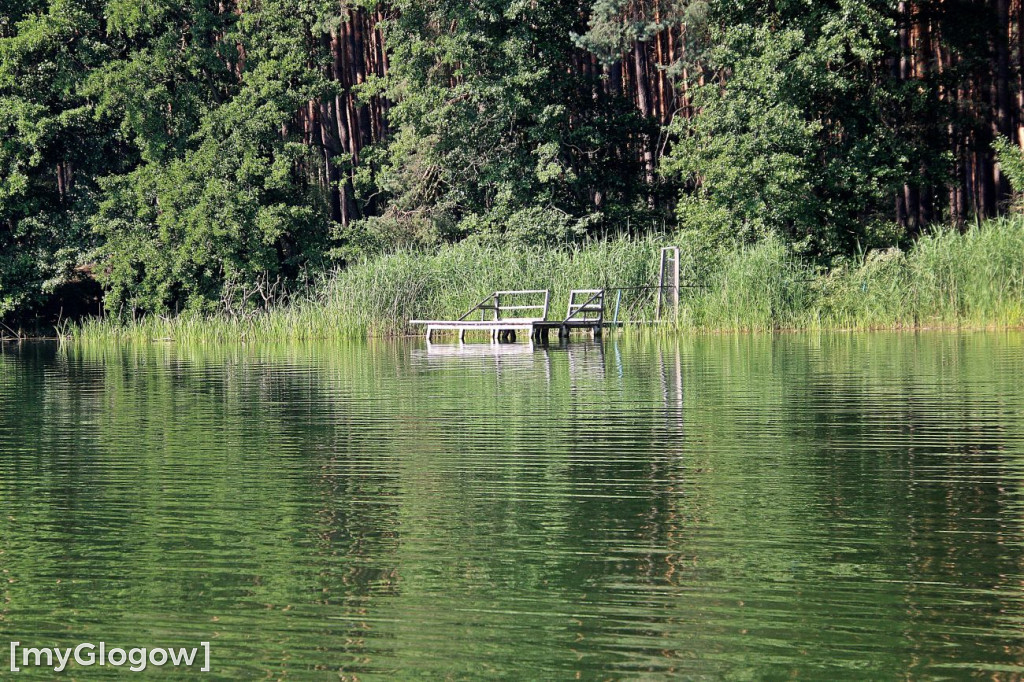 Przyroda oddalona od plaży