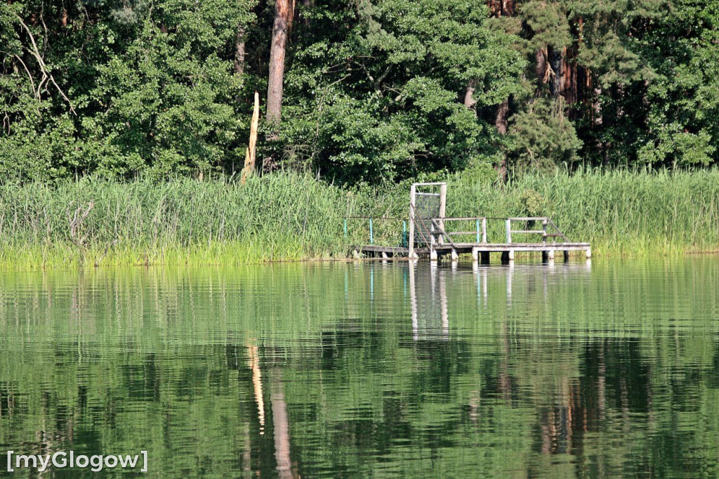 Przyroda oddalona od plaży