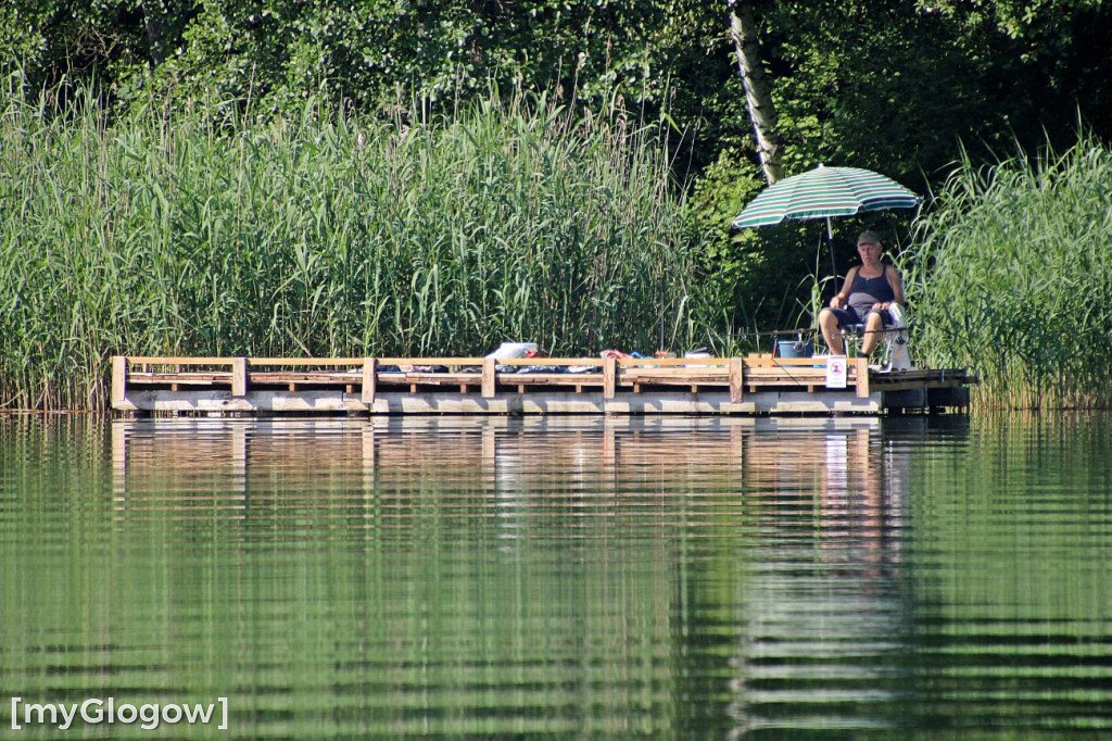 Przyroda oddalona od plaży