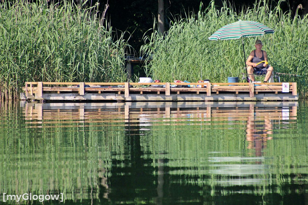 Przyroda oddalona od plaży
