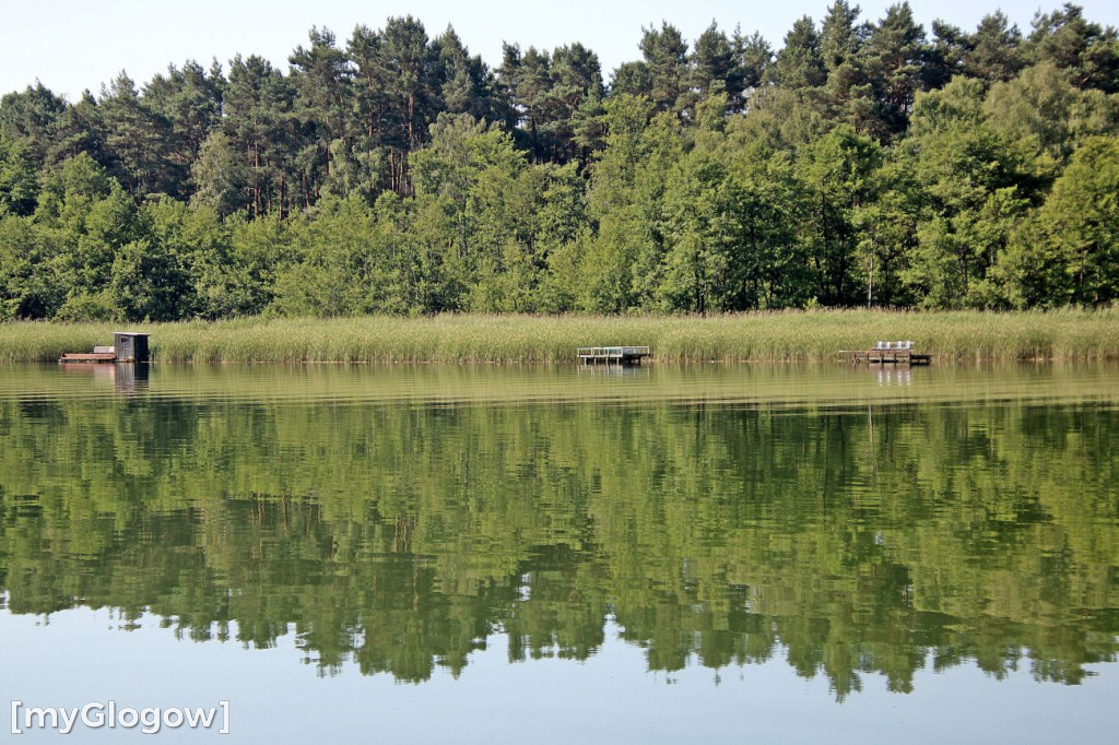 Przyroda oddalona od plaży