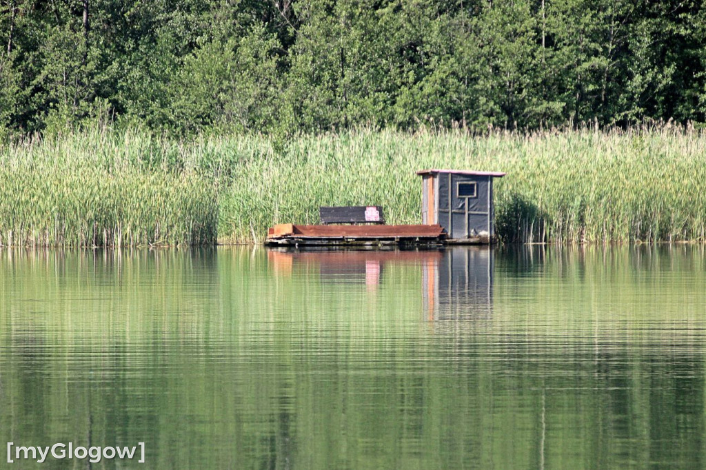 Przyroda oddalona od plaży