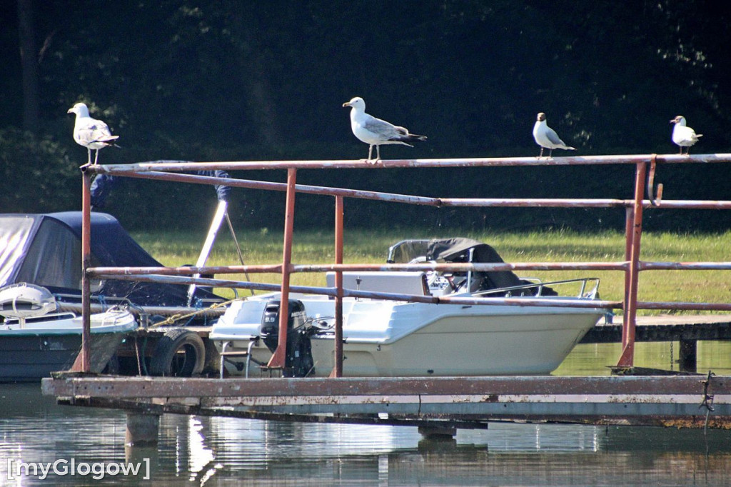 Przyroda oddalona od plaży