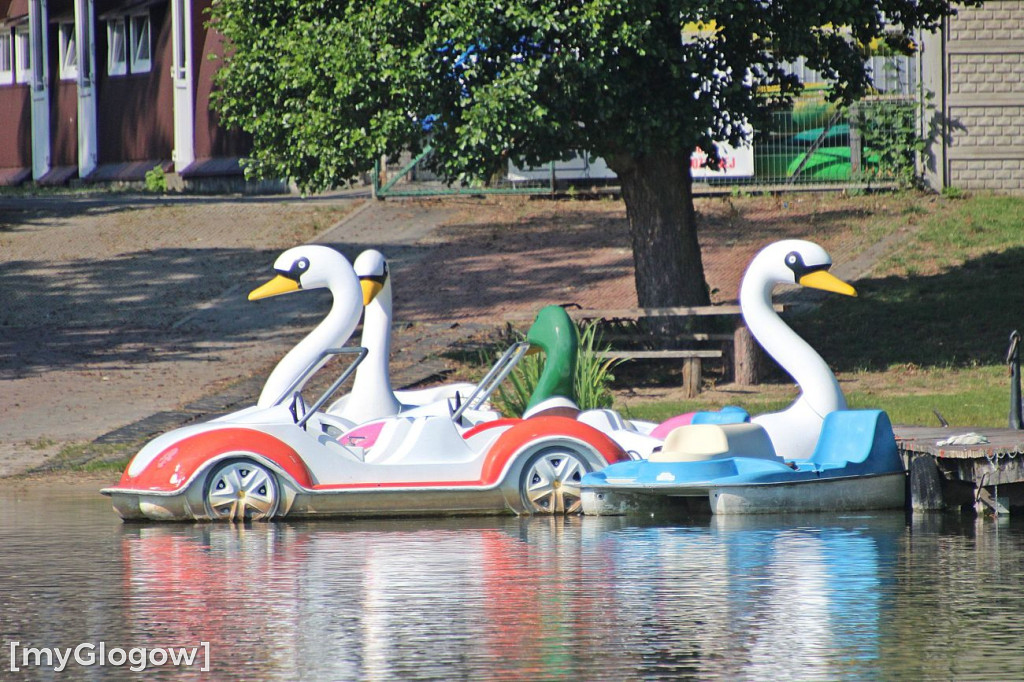Przyroda oddalona od plaży